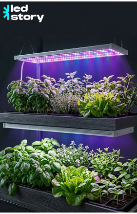 Освітлення для рослин