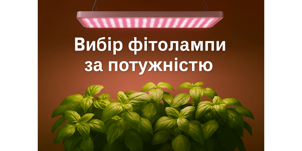 Як вибрати фітолампу за потужністю — порівняння 15–100 Вт. Поради від LED STORY