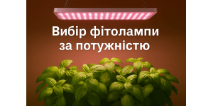 Як вибрати фітолампу за потужністю — порівняння 15–100 Вт. Поради від  LED STORY 