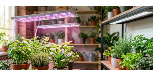 Светодиодные лампы для растений - маркетинг или реальный инструмент