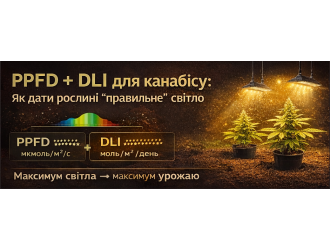 PPFD и DLI: два главных параметра освещения для выращивания каннабиса (с таблицами)