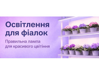 Фитолампы для фиалок: зачем нужны, как выбрать и правильно использовать