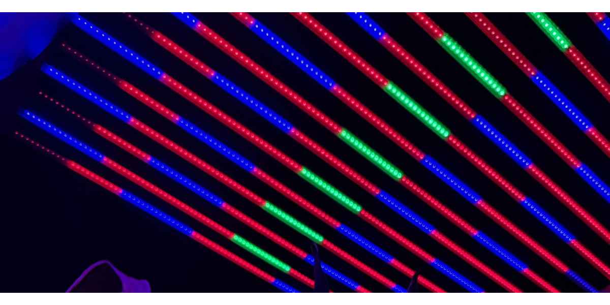 Квантумборд или фитолампа – выбираем лучшее решение