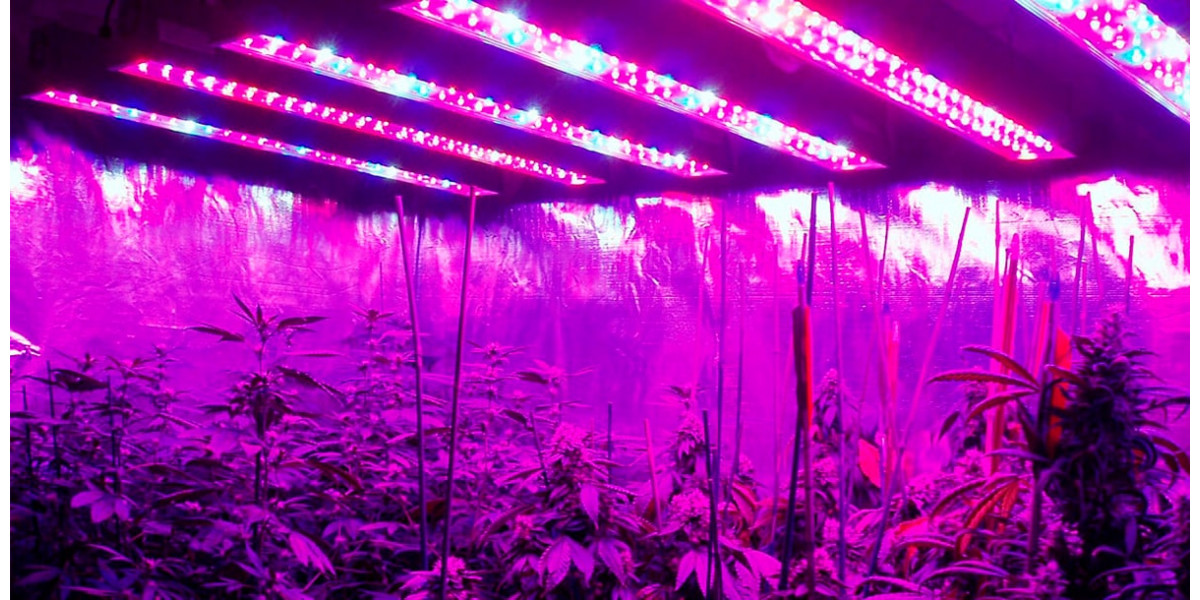 LED светильники для растений - купить в GROWELL