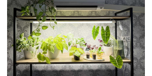 Як закріпити фітолампу на вікні. Поради від LED STORY