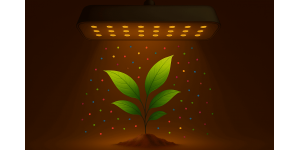 Как выбрать фитолампу по PPFD? Советы от LED STORY