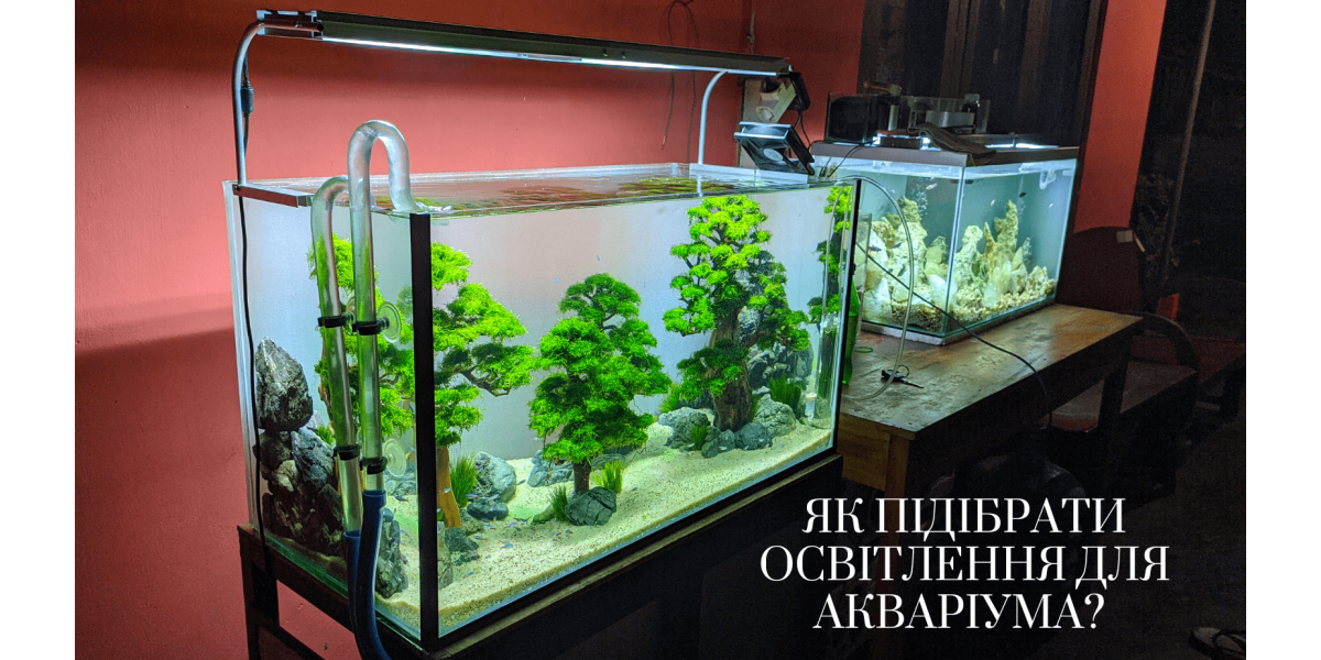 Як правильно підібрати освітлення для акваріума?