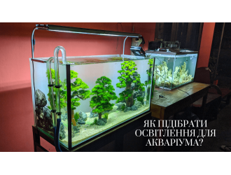 Как правильно подобрать подсветку для аквариума?