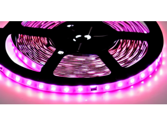 Одноцветная LED лента в Днепре - ассортимент товаров Led Story