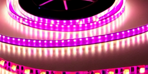 Одноцветная LED лента в Ужгороде - ассортимент товаров Led Story