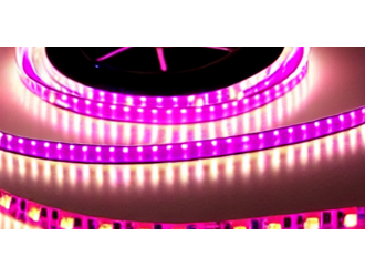 Одноцветная LED лента в Ужгороде - ассортимент товаров Led Story