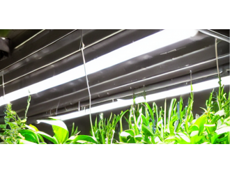 Освітлення для рослин в Житомирі - асортимент товарів Led Story
