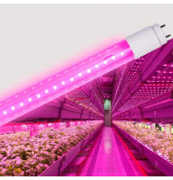 Фітолампа для рослин 9W Т8 600 мм повний спектр LEDum ( вкладається в світильник з цоколями G13 )