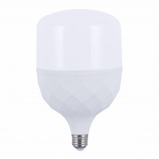 Светодиодная лампа Biom HP-40-6 T110 40W 4200 Lm E27 6500К