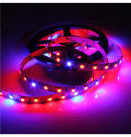 Светодиодная фитолента SMD 5050 12V 60д.м. IP20 4 красных + 1синий ( повышеной яркости ) цена 1м