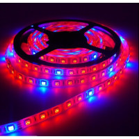 Светодиодная фитолента SMD 5050 12V 60д.м. IP65 5 красных + 1синий (цена 1м)