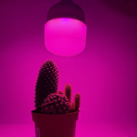 Фитолампа 30W E27 полный спектр LEDum