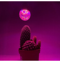 Фітолампа для рослин Feron LB-709 A60 11W E27