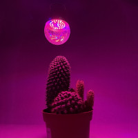 Фитолампа Feron LB-709 A60 11W E27 Фитолампа Feron LB-709 A60 11W E27