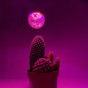 Фитолампа Feron LB-709 A60 11W E27