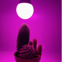 Фитолампа 18W E27 A80 полный спектр LEDum Фитолампа 18W E27 A80 полный спектр LEDum