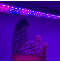 Фітосвітильник 16У-14W-001 УХЛ4 Т5 FITO (4 червоних / 2 синіх) 220V 0.9м LED-STORY Naturel