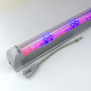 Фітолампа 120см для квітів та рослин 16Вт SMD2835 біколорна (4 RED 2 BLUE) + Подарунок