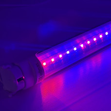 Фітолампа Т8 60см 8Вт 600 мм для квітів світлодіодна SMD2835 4 red 2 blue