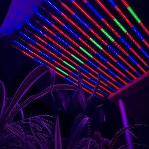 Квантум борд 400Вт IP54 SMD2835 комбинированный спектр 1.25*0.7м Quantum Bo...