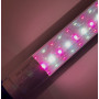 LED лампа для мяса Led-Story PINK MEAT 12W Т8 0,9м двухстороннее подключение - фото №1