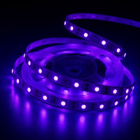Led стрічка UV SMD5050 12Вт/м 12V 60 д.м IP20 ультрафіолетова (ціна 1м)
