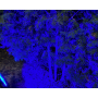 Лед прожектор синій 10W IP65 SMD2835 900Лм РЕМОНТОПРИДАТНИЙ - фото №3