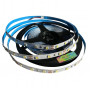 Лед стрічка Led-Story PROFI SMD 4040 12V, 10W, 60 д/м 4000К IP20 Білий нейтральний (ціна 1м) - фото №1