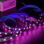 RGB лента SMD 5050 12V, 14.4W, 60 д/м IP20 Led-Story PROFI (цена 1м) - фото №7