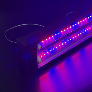 Светильник подвесной 120см с лампами Т8 2х16W (4red/2 blue) LED STORY ECO