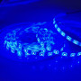 Світлодіодна стрічка SMD 2835 12V 60 д.м. IP65 Синій (ціна 1 м) - фото №2