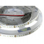 Cветодиодная лента Estar Люкс SMD 2216 24В 182 д.м. IP20 холодный белый 6500К 5м (цена 1м) - фото №1