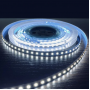 Лед лента Led-Story PROFI SMD 2835 12V, 13W, 120 д/м 6500К IP20 Холодный белый (цена 1м) - фото №2