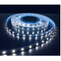 Світлодіодна стрічка Led-Story PROFI SMD 2835 6W 12V 60 д/м 6500К IP20 Холодний білий (ціна 1м) - фото №2