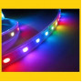 Светодиодная лента RGBW ( 6000К ) 4/1 12V SMD 5050 PROFI 60 д.м. IP20 (цена 1м) - фото №2