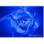 Світлодіодна стрічка SMD 5050 60д.м. IP20 12V синя (ціна 1 м) - фото №2