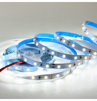 Світлодіодна стрічка Led-Story PROFI SMD 2835 6W 12V 60 д/м 6500К IP20 Холодний білий (ціна 1м)