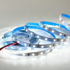 Лед лента Led-Story Premium SMD2835 12V, 6W, 60д/м 6500К IP20 Холодный белый (цена 1м)