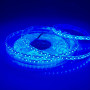 Світлодіодна стрічка SMD 2835 120 д.м. 12V IP65, синій (ціна 1 м) - фото №1