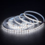 Светодиодная лента SMD 3014 12V 204 д.м. IP20 холодный белый (цена 1 м) - фото №1