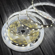 Cветодиодная лента SMD 5050 12V 60 д.м. IP20 7000-8000К холодный белый (цена 1 м)