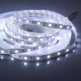 Світлодіодна стрічка SMD 5050 12V 60 д.м. IP20 7000-8000К холодний білий (ціна 1 м) - фото №1