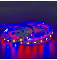 Светодиодная фитолента SMD 5050 12V 60д.м. IP20 4 красных + 1синий ( повышеной яркости ) цена 1м