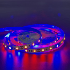Светодиодная фитолента SMD 5050 12V 60д.м. IP20 4 красных + 1синий ( повышеной яркости ) цена 1м