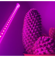 Фітосвітильник для рослин 9Вт 5В SMD2835 IP20 повного спектру 0.5м з USB від павербанка